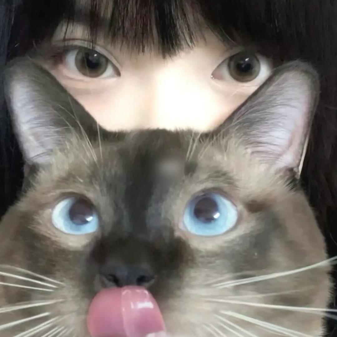 一口脆脆鲨