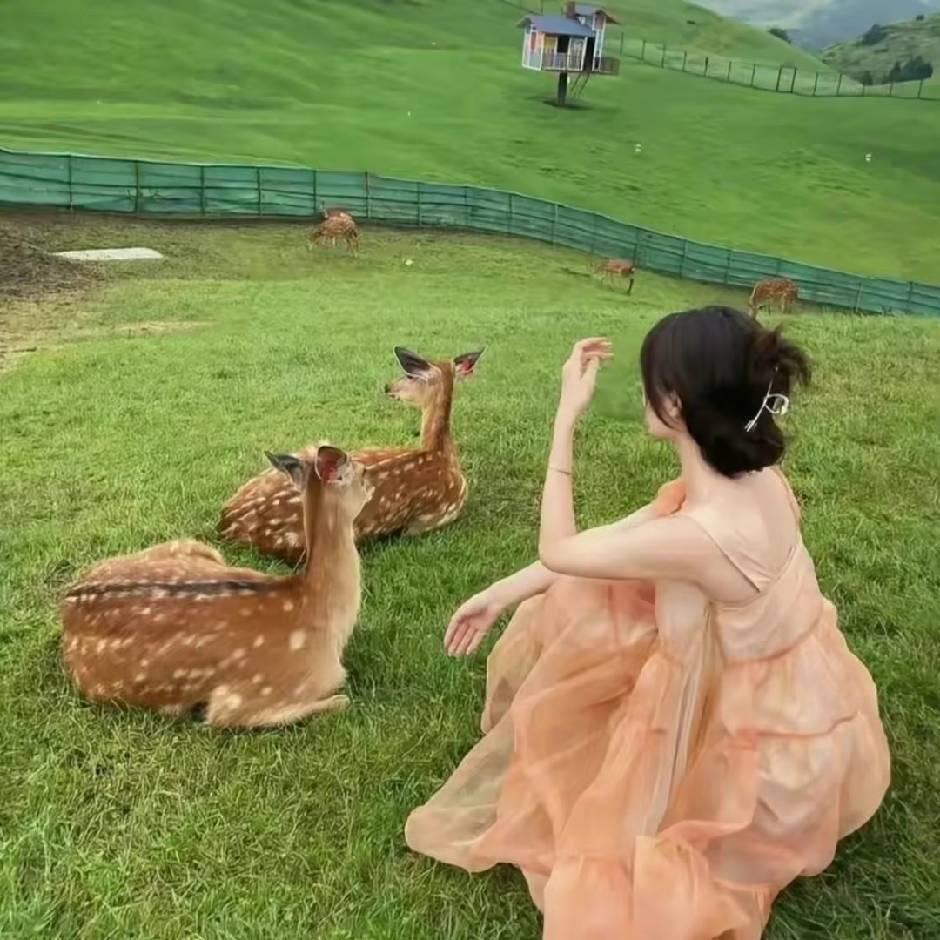 娜宝❤️