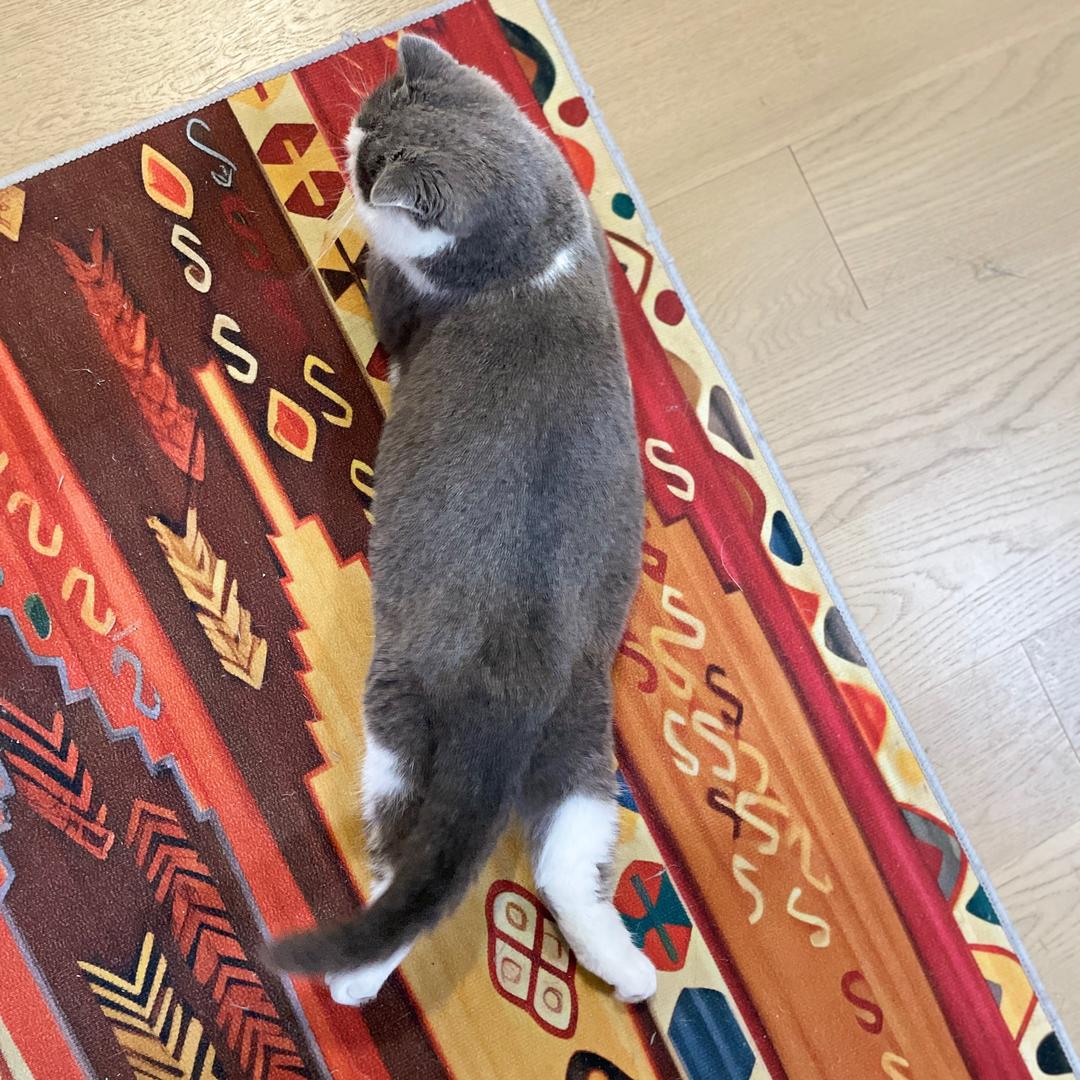 一条阿宅