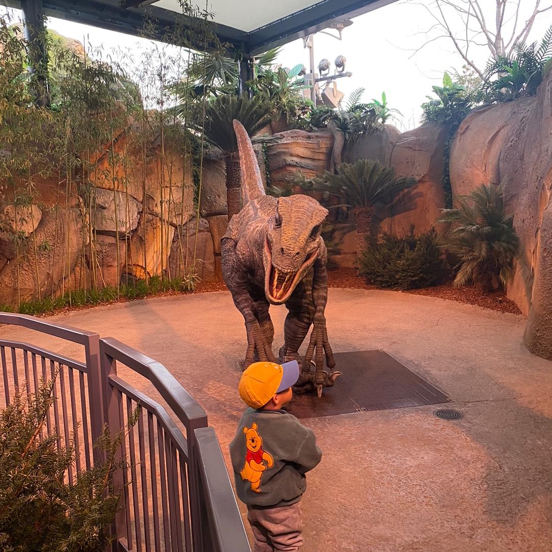 带娃瞎溜达(卖源泰金鱼)