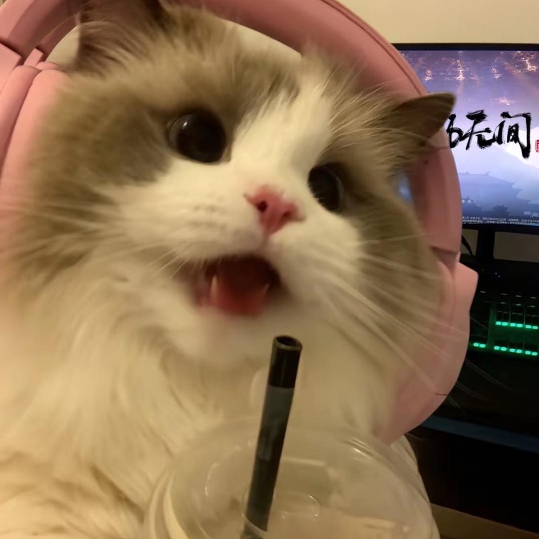 别说违心话了