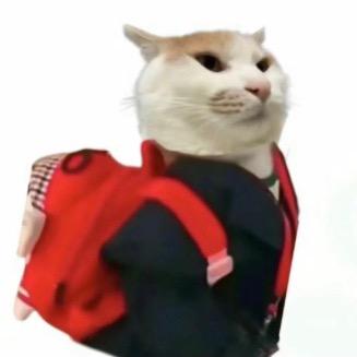 烤冷面大师