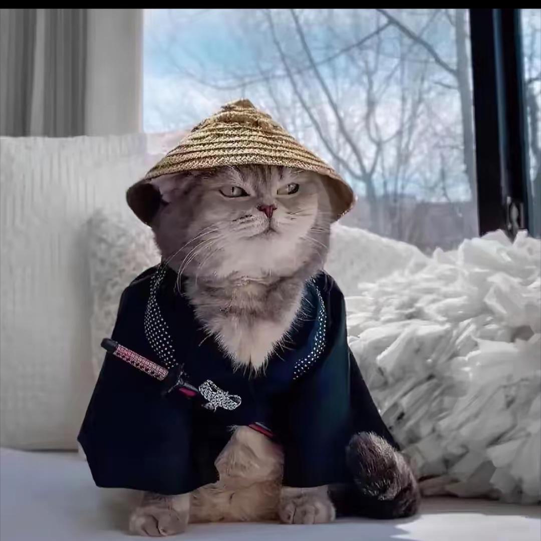 一方看世界