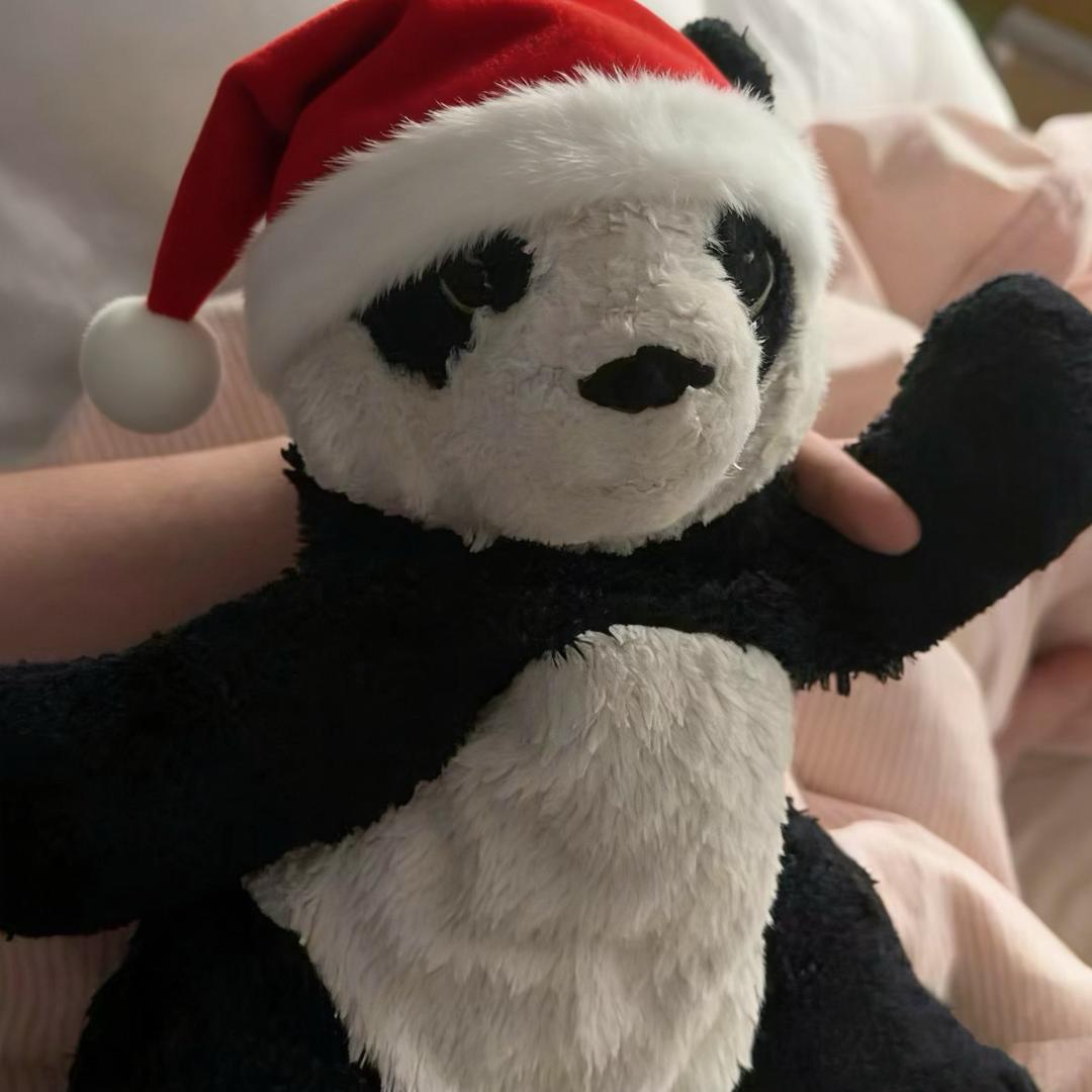 焦虑番茄烤熊猫🐼