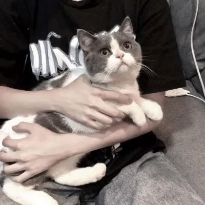 护航花季的呆呆