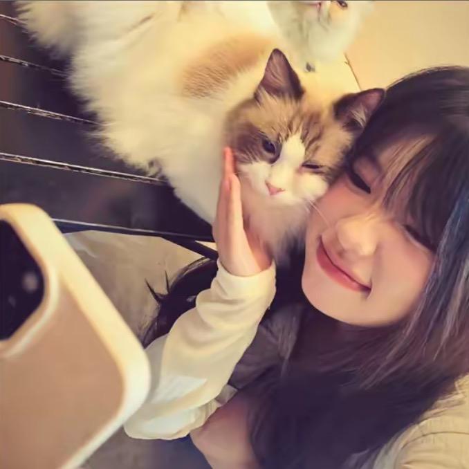 梦  .
