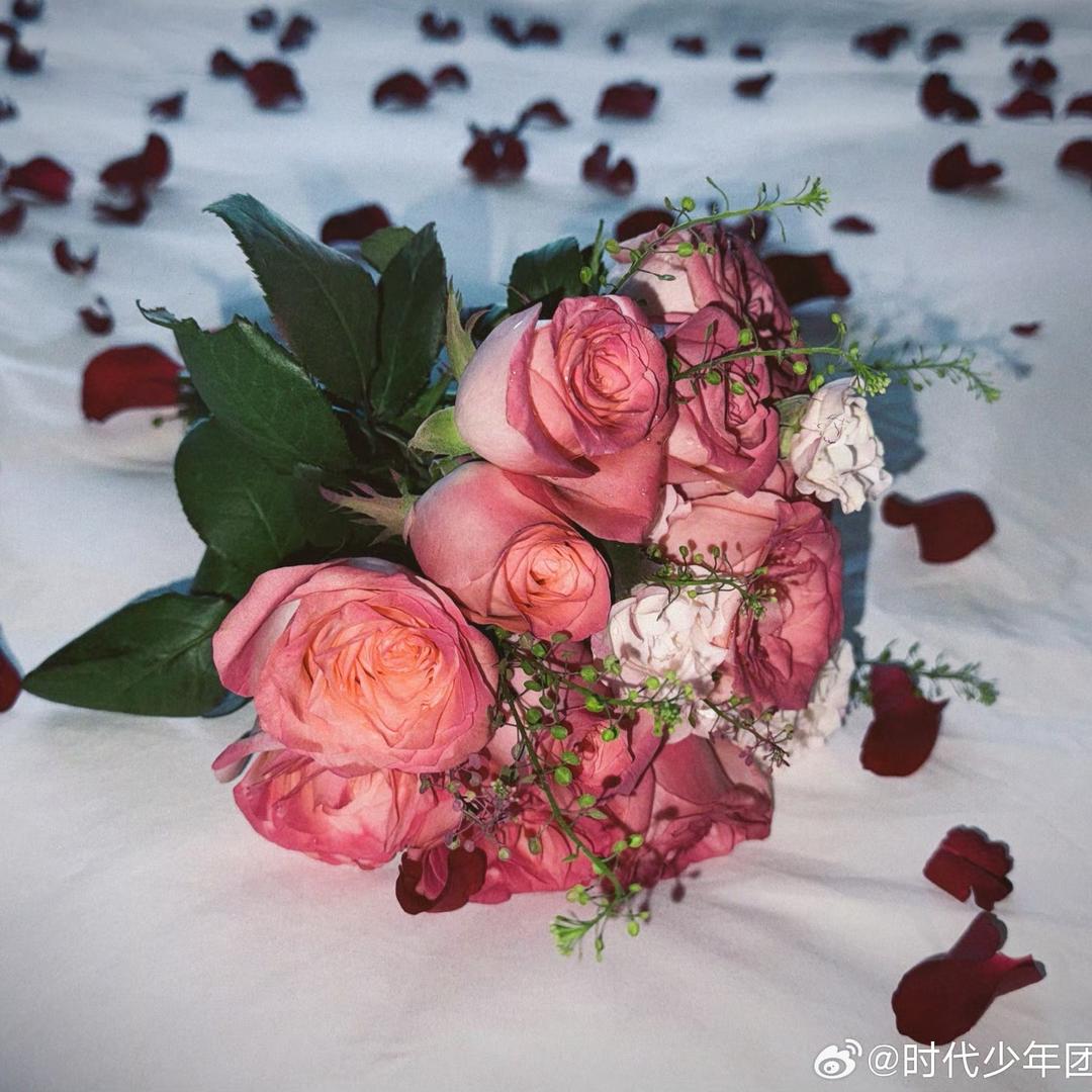 生椰芝麻