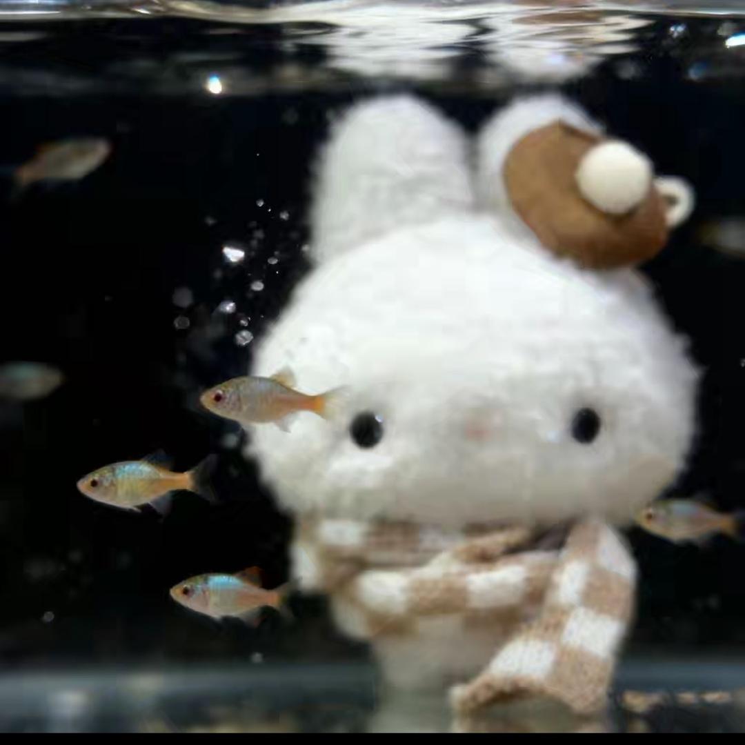 重开崽·﹃·