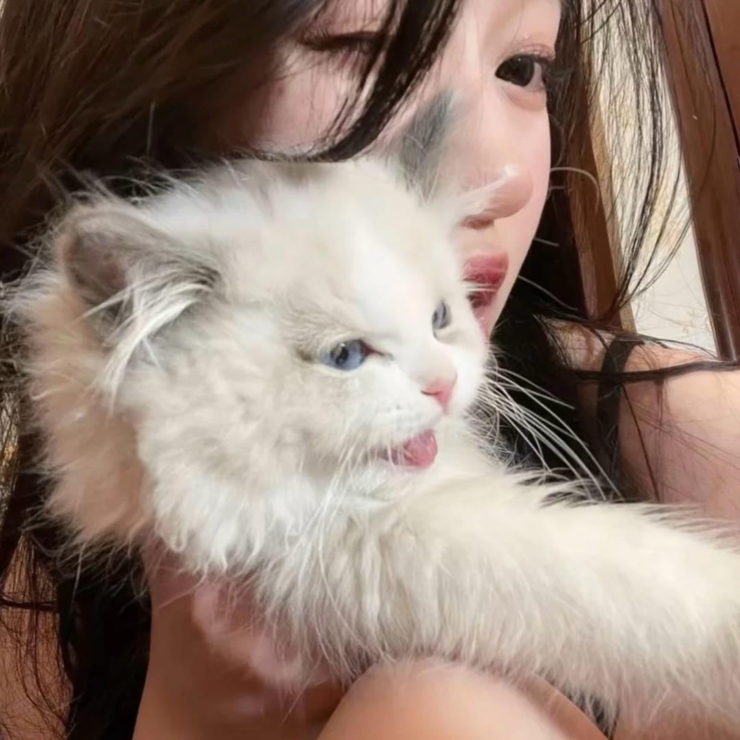 小娥a⛓