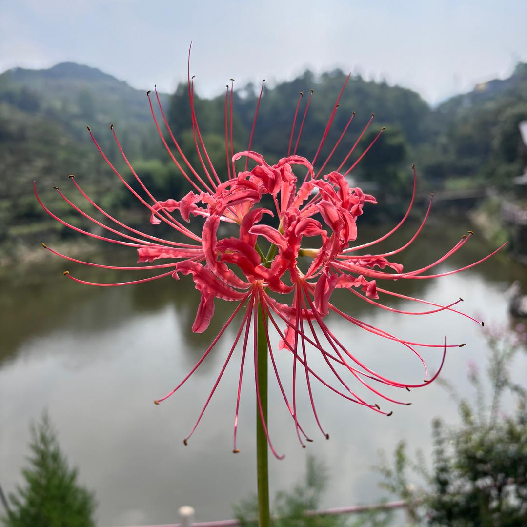大桲萝湾休闲度假村