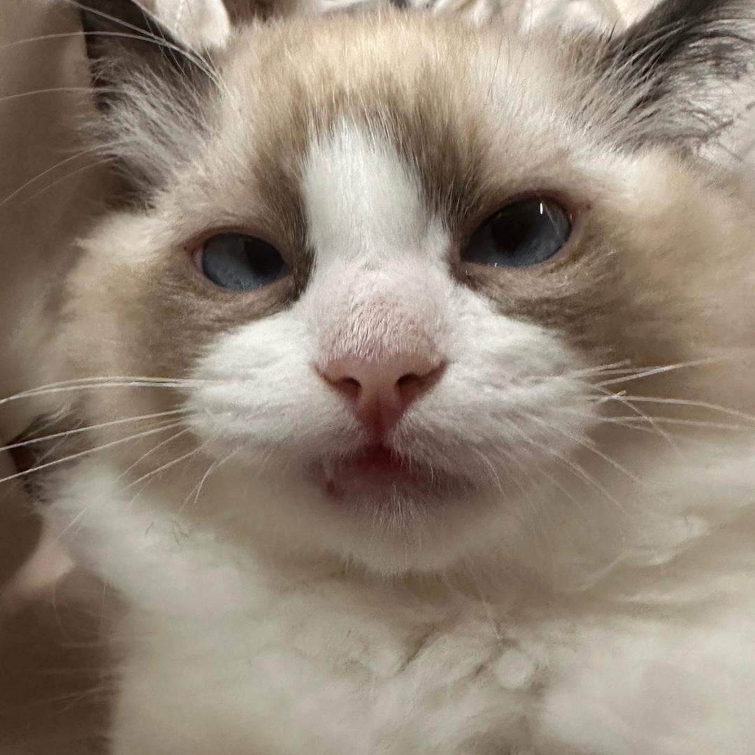 光..