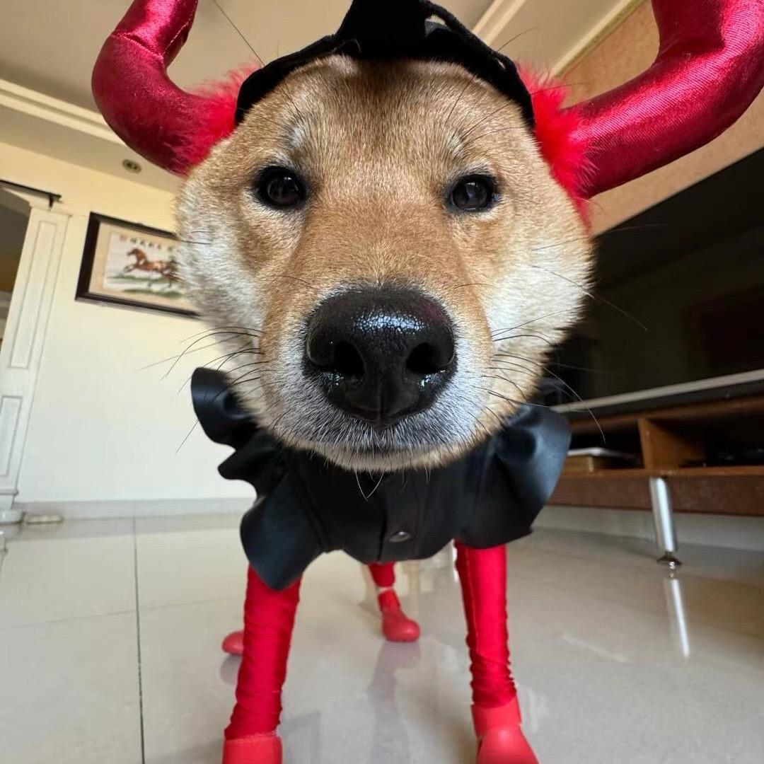 🌴（三角洲行动）