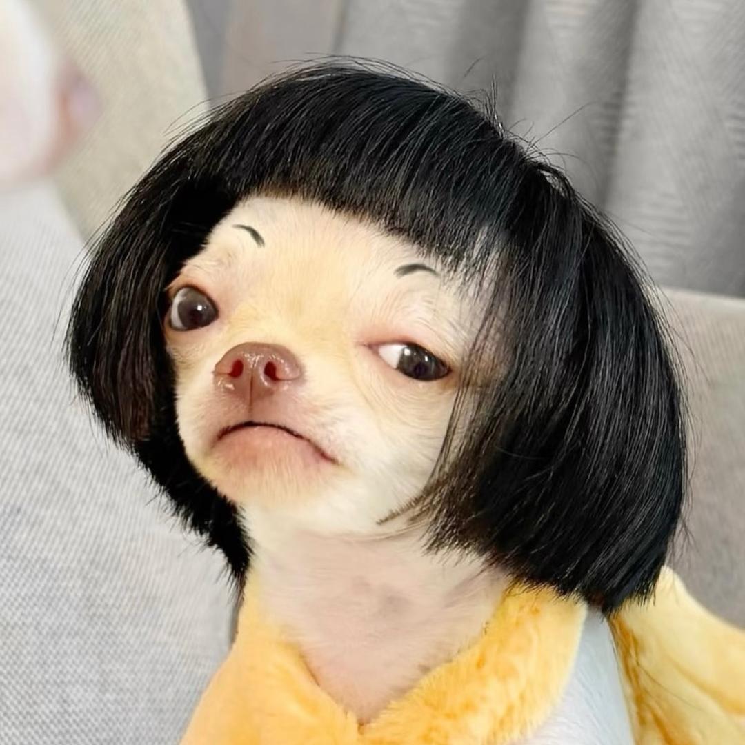 弥豆子子