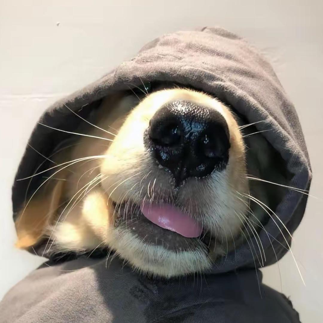 特仑苏.