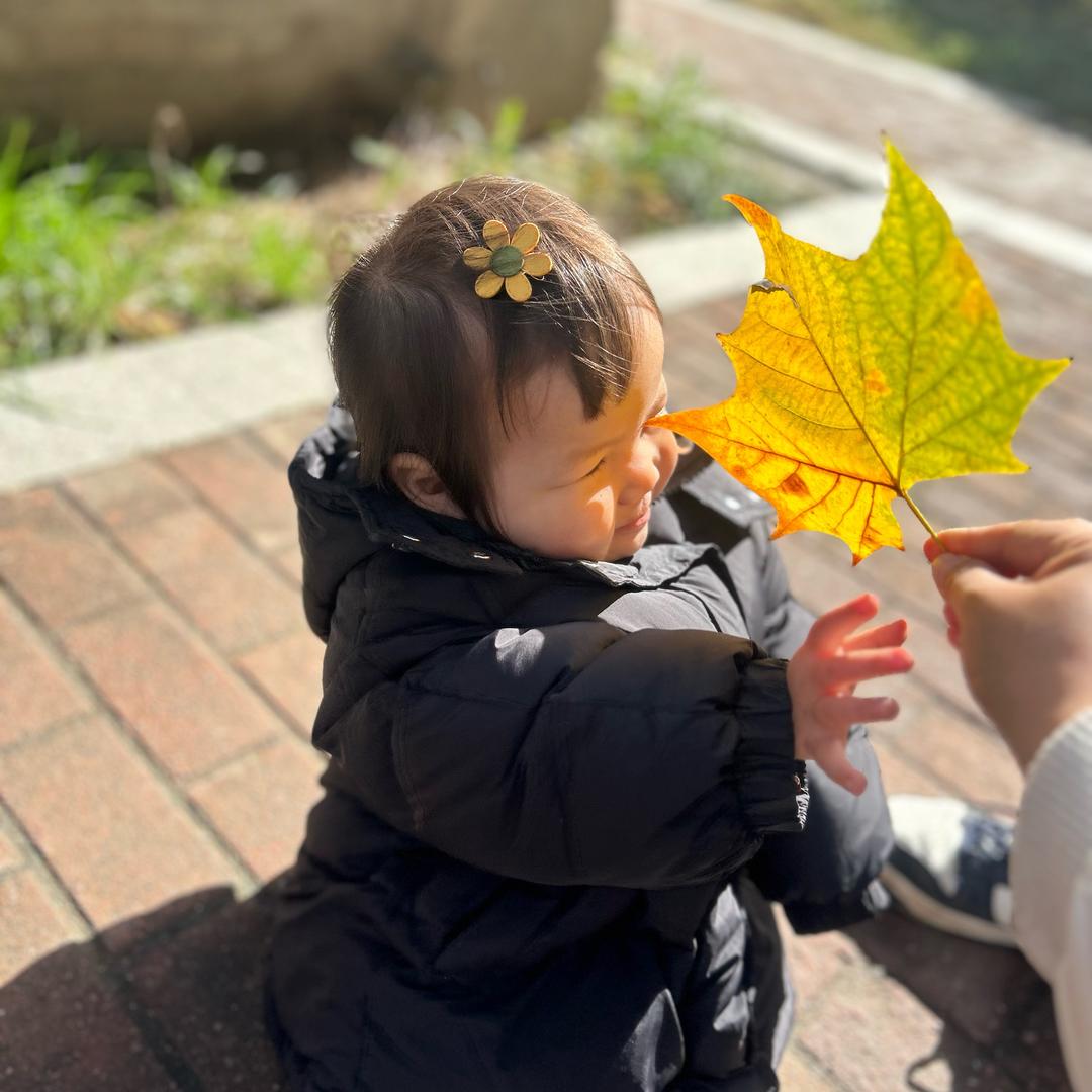 🍀宸妈育儿