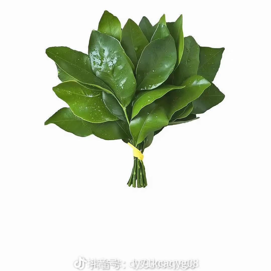 平安喜乐潮玩铺