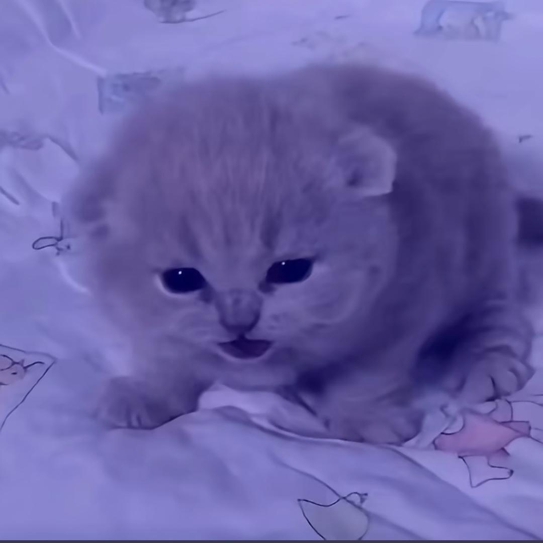 uuuii