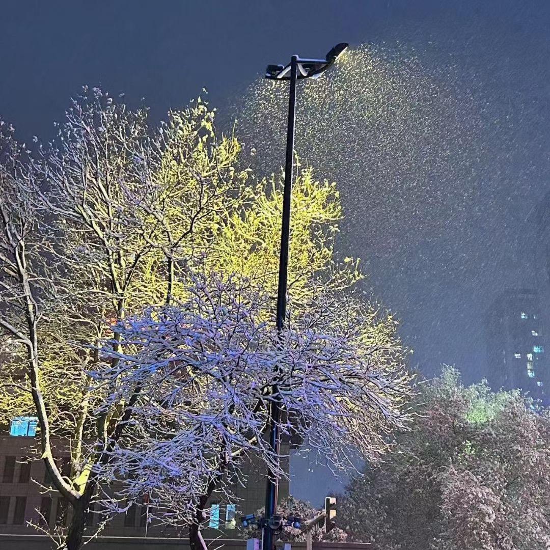 挥着翅膀的女孩