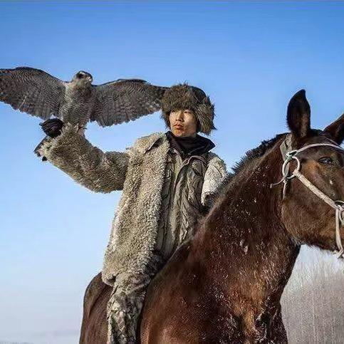 鹰把式二成🦅