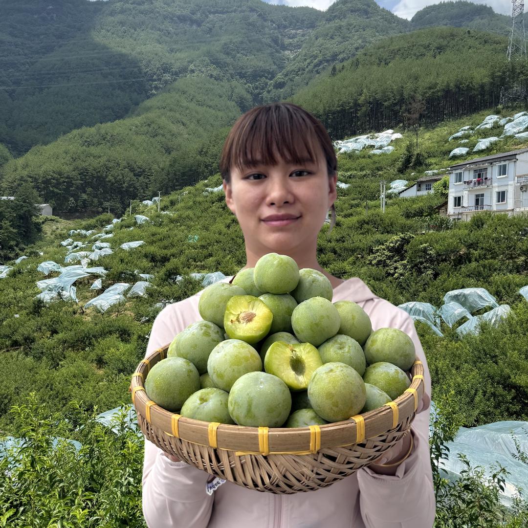 渝乡蓉蓉鲜果