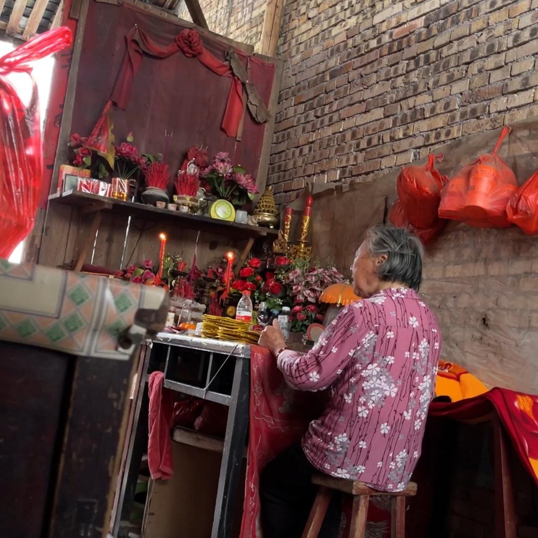 叫招财的喵（原甘棠仙婆）