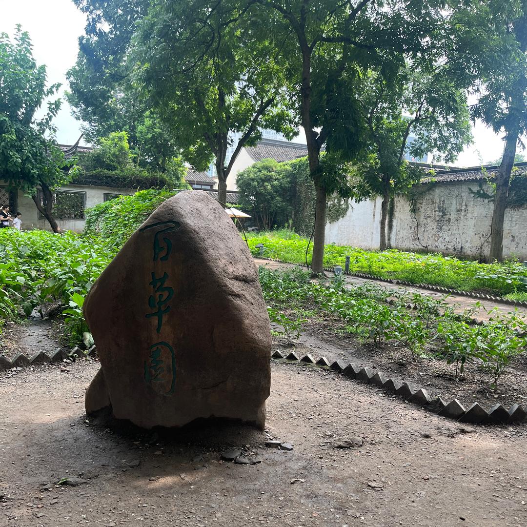 🌴高处不胜韩🌾
