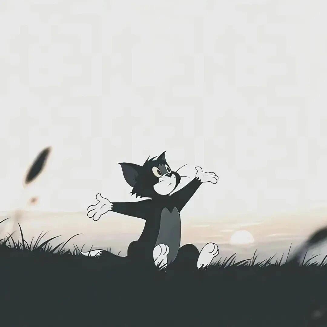 淼🍂