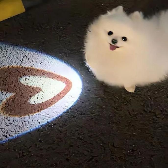 你是一只大乌龟