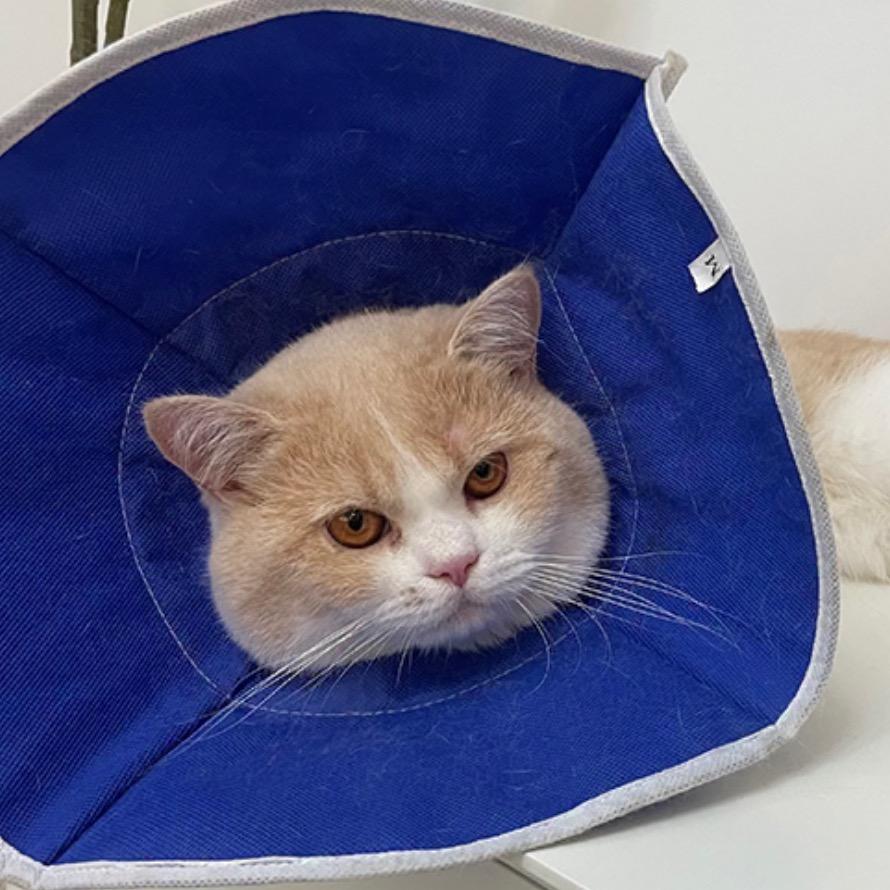 啥时候才能当辣妹