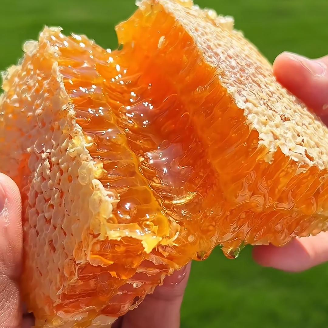 深山土蜂蜜(小号)