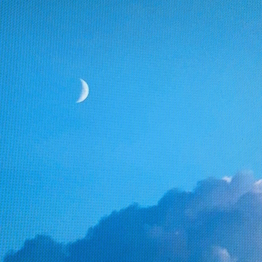 鹏城一梦