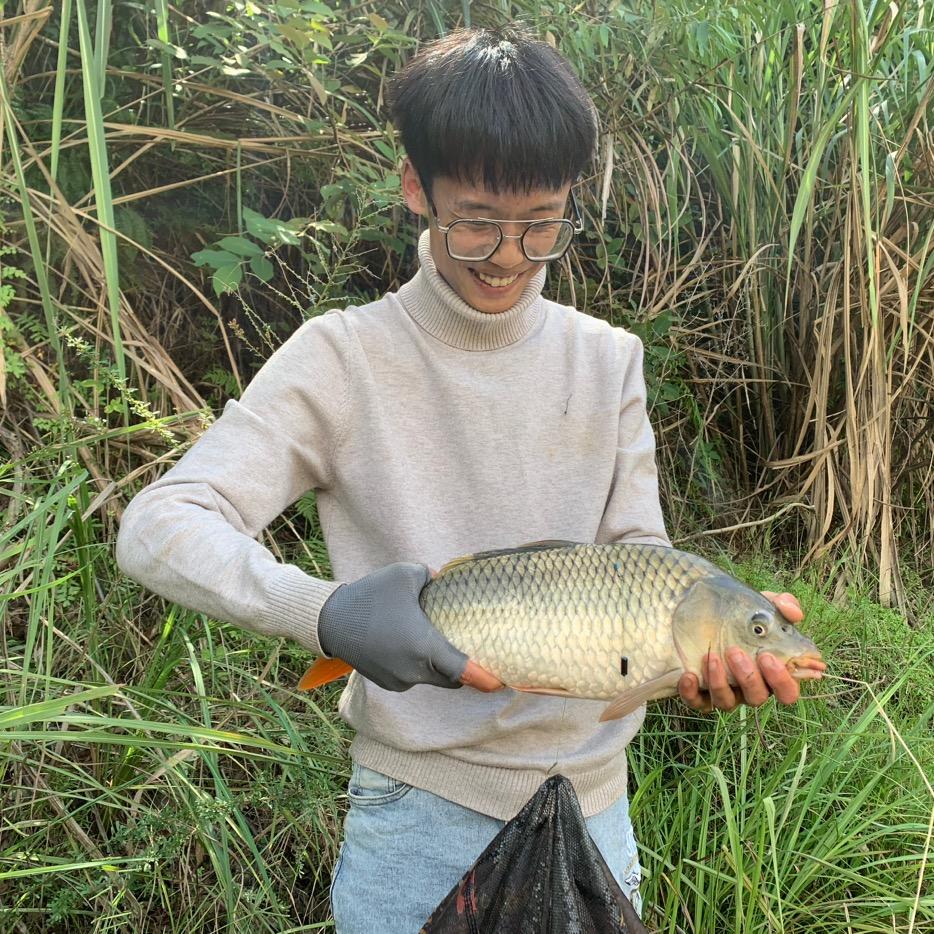 石多鱼