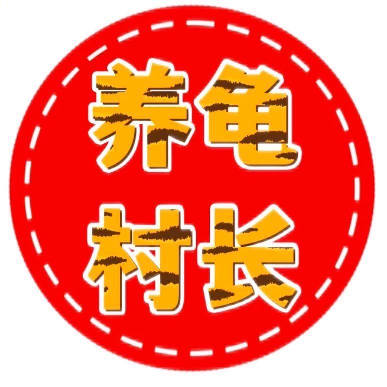 养龟村长金头闭壳龟