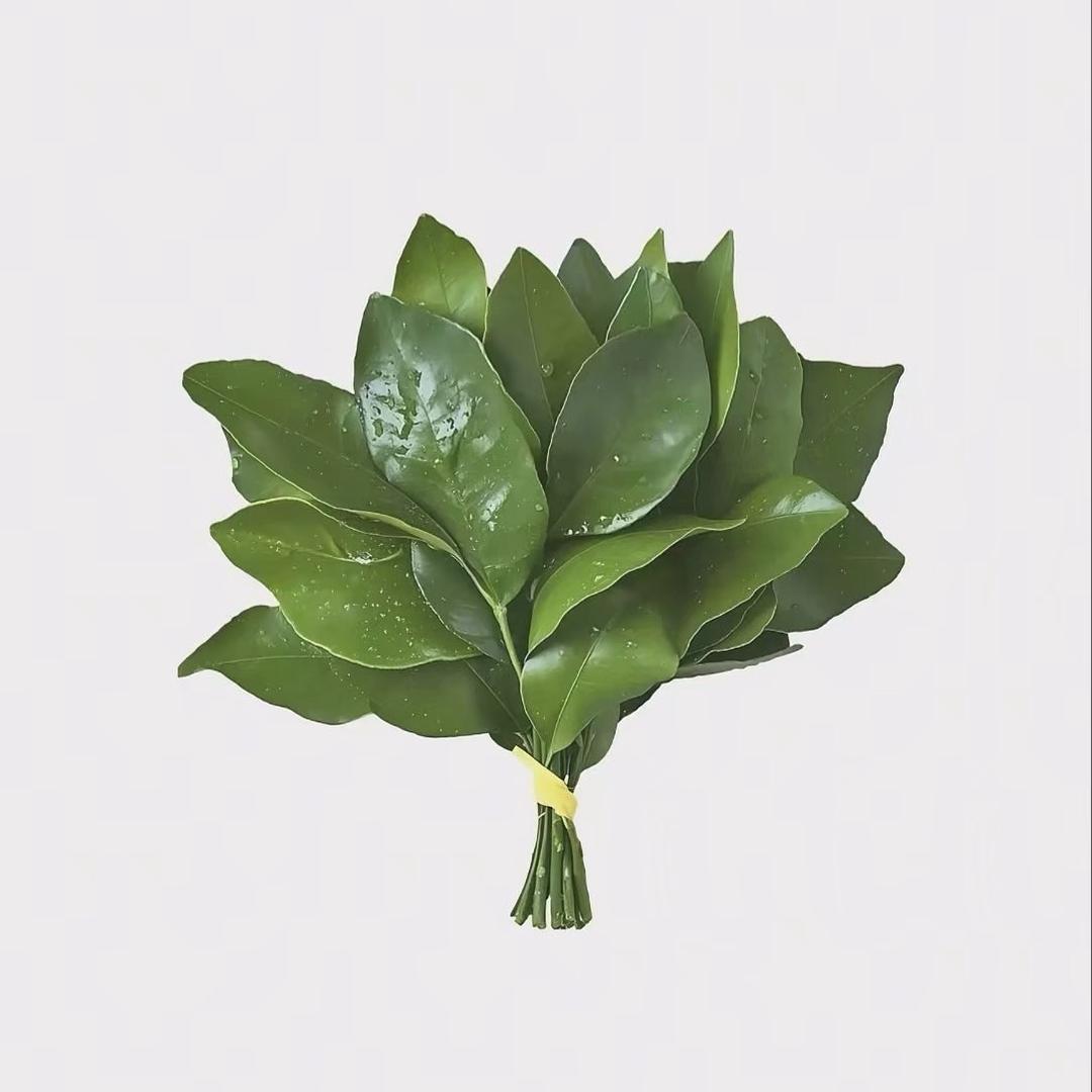 仅仅是清
