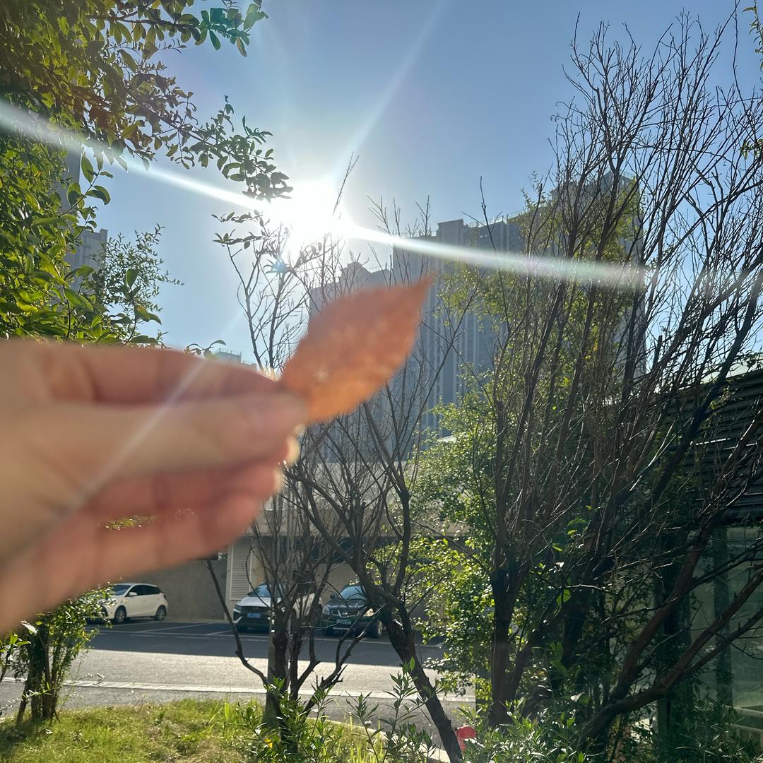 湘潭牛不二陈小舟