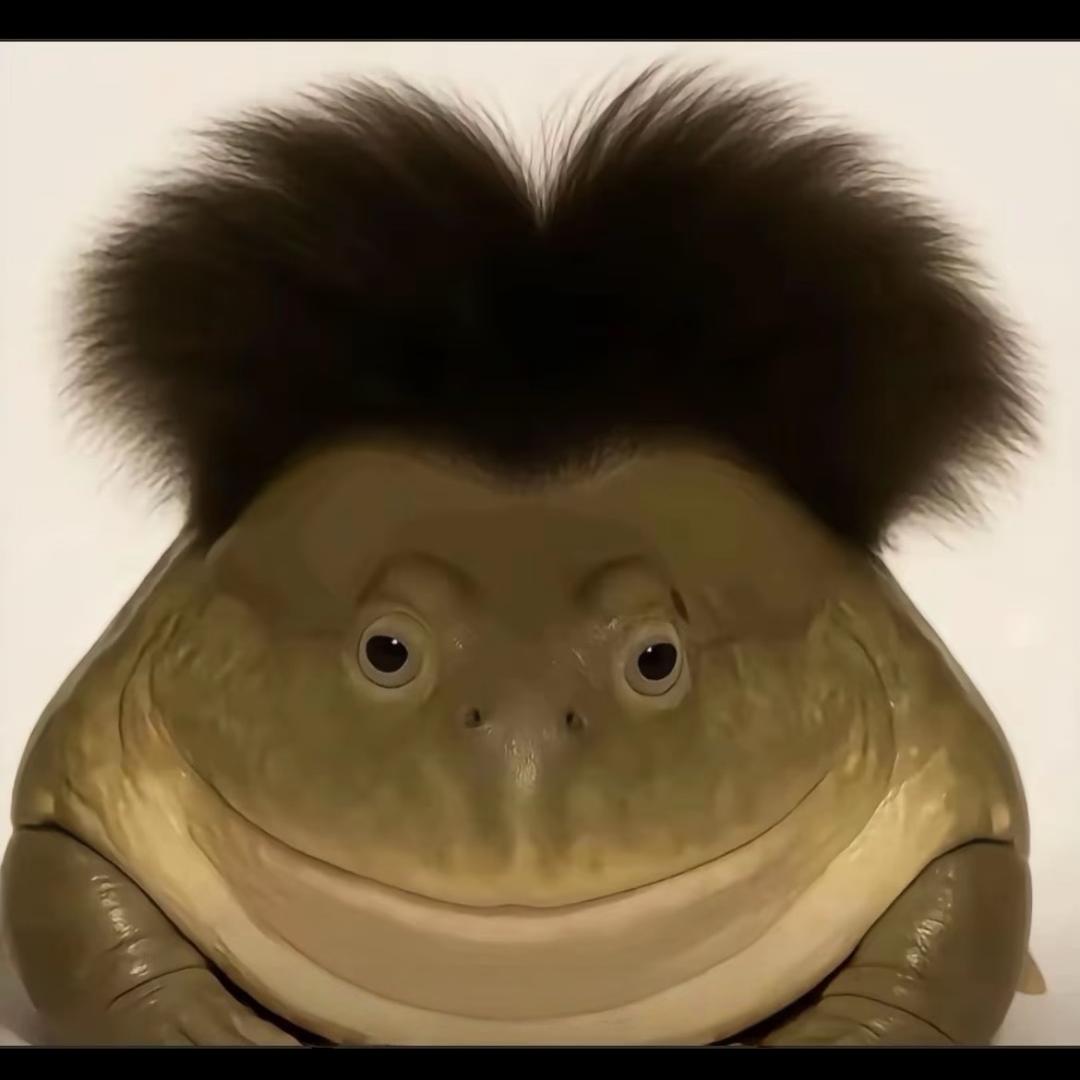 我有许可证🤪