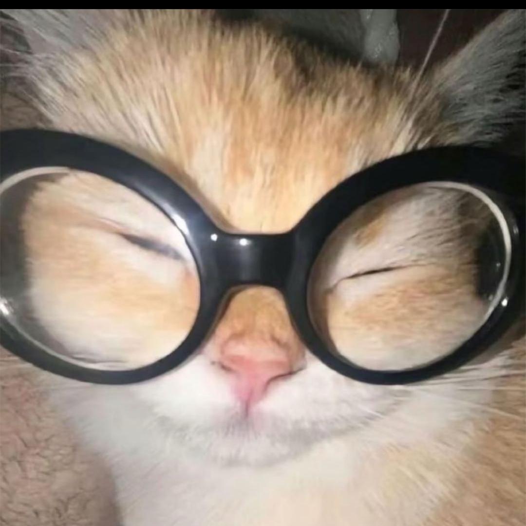 小狗别哭🅴（看完周杰伦演唱会版）