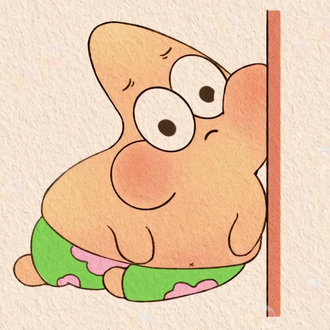 皮皮🐽头像