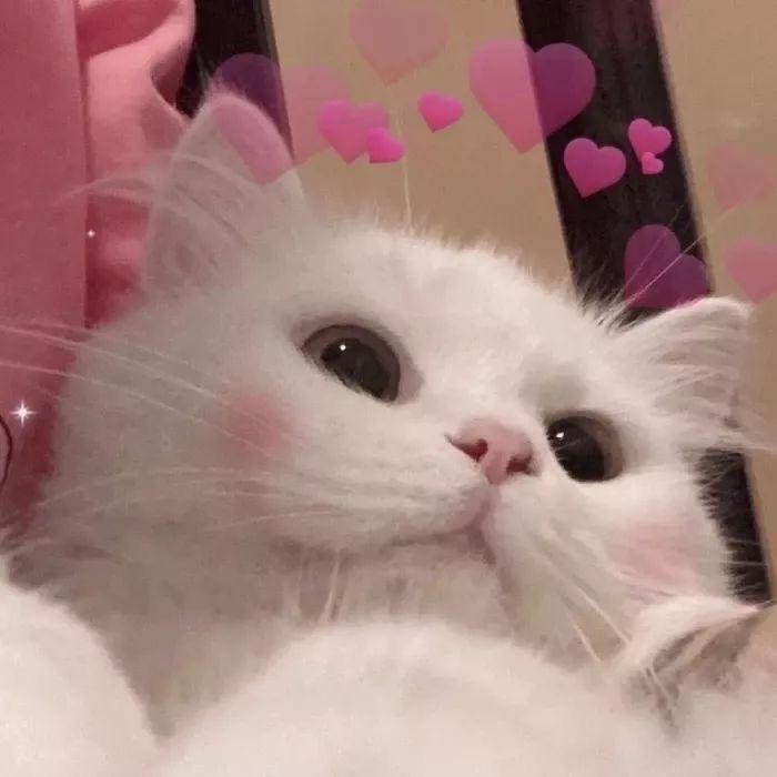 汤圓