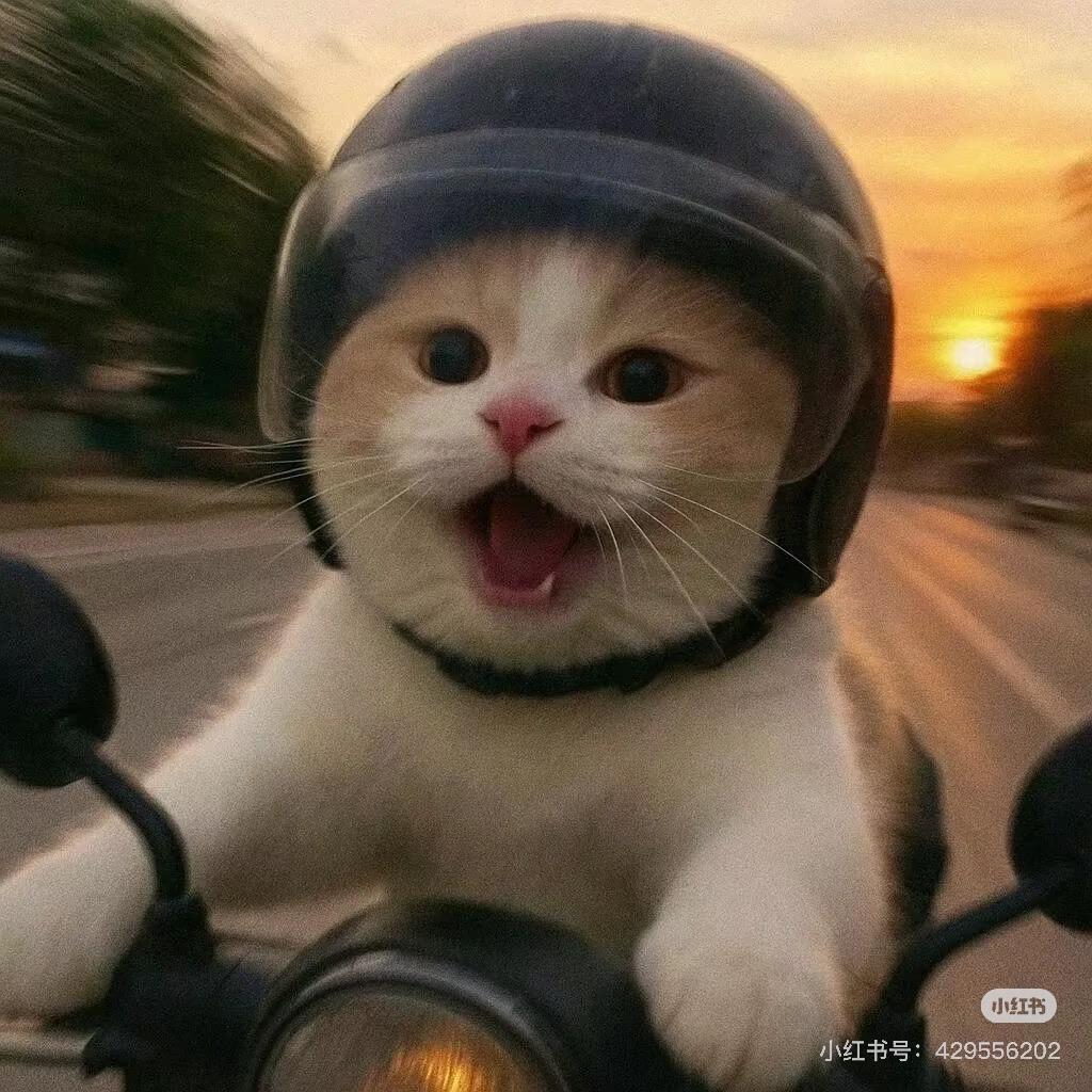 念念