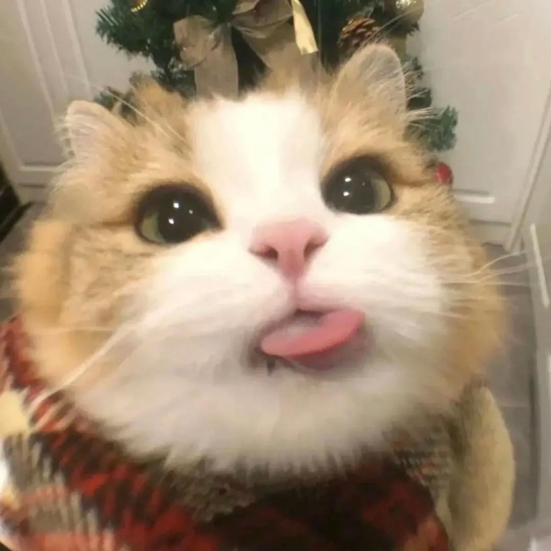 秋明静步鱼