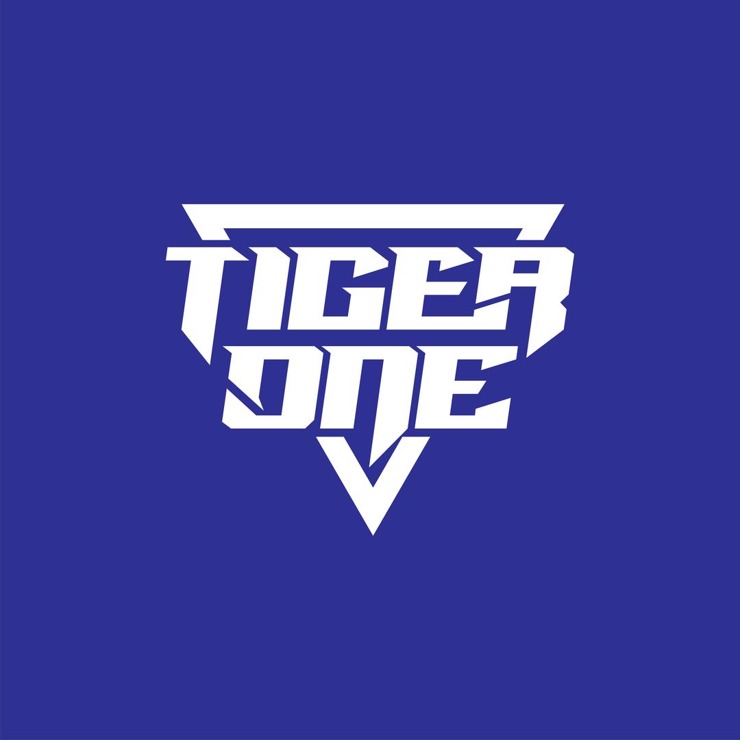 哈尔滨Tiger One健身训练营