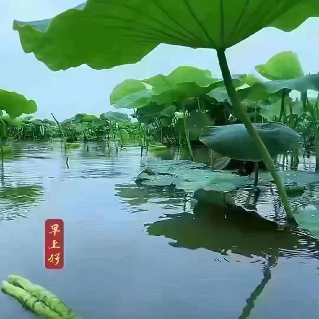 忙不完的今天、想不到的明天