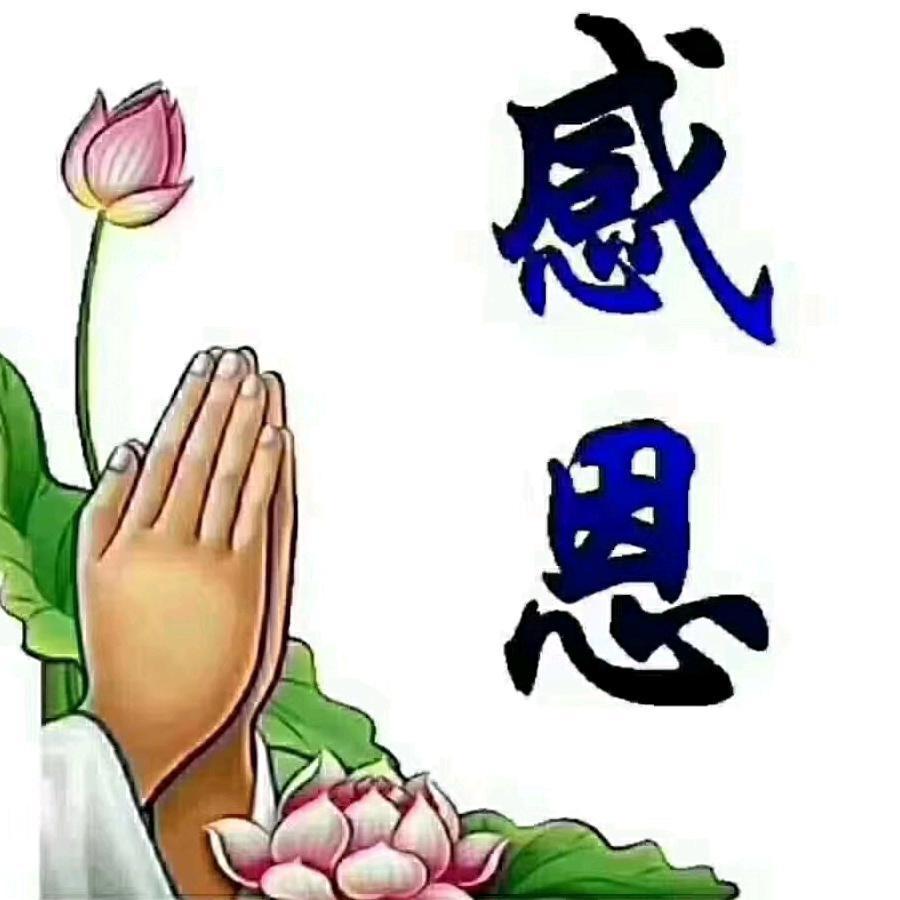 🙏感恩🙏