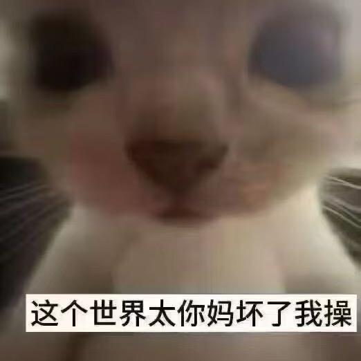 我帅到被人砍