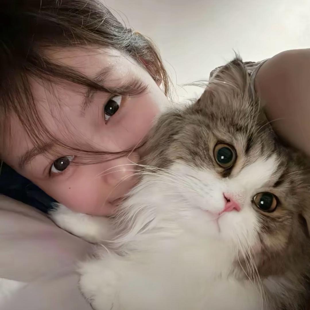 虫虫