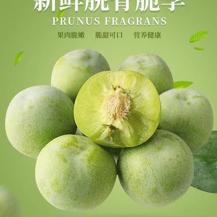 果味鲜水果园
