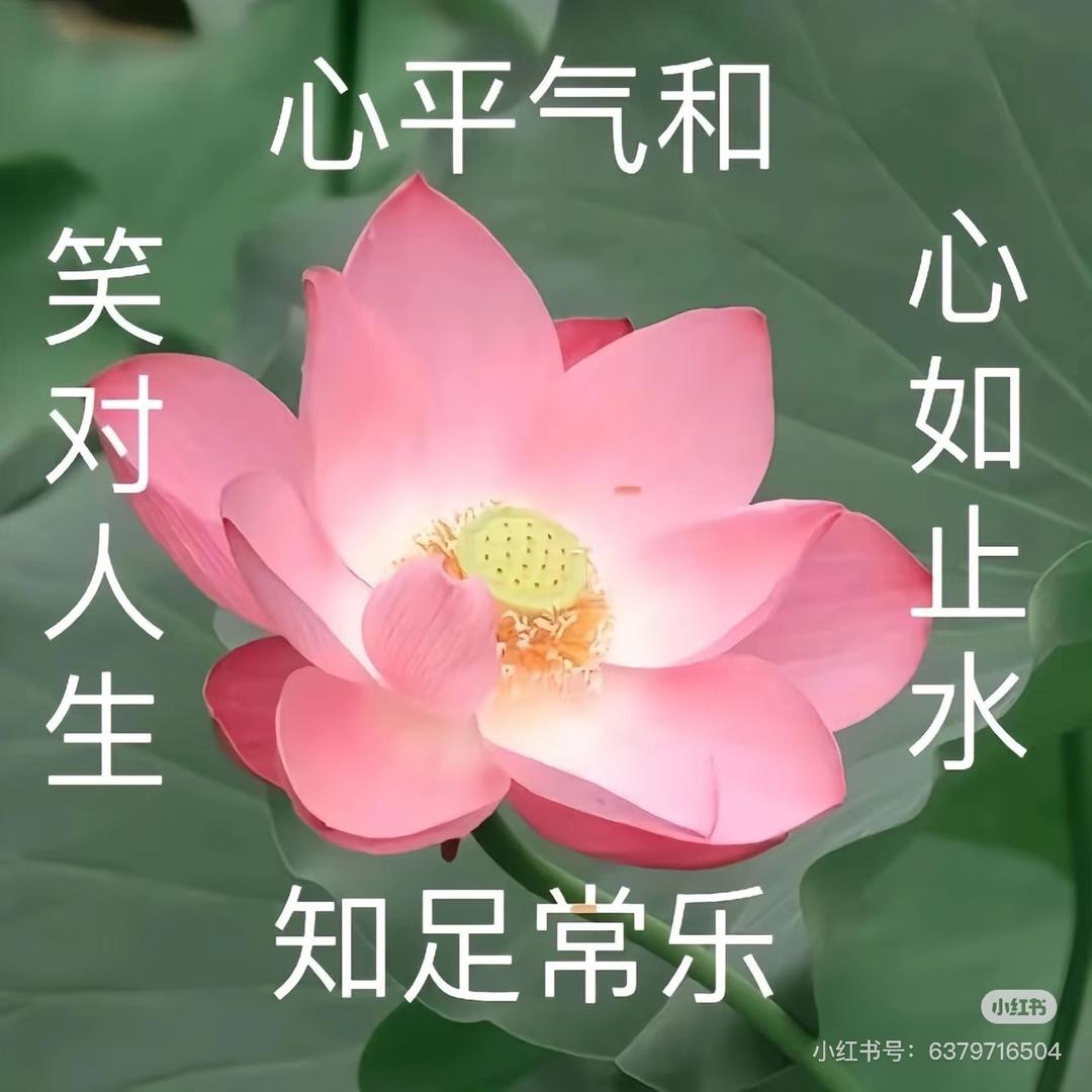 喜之郎.