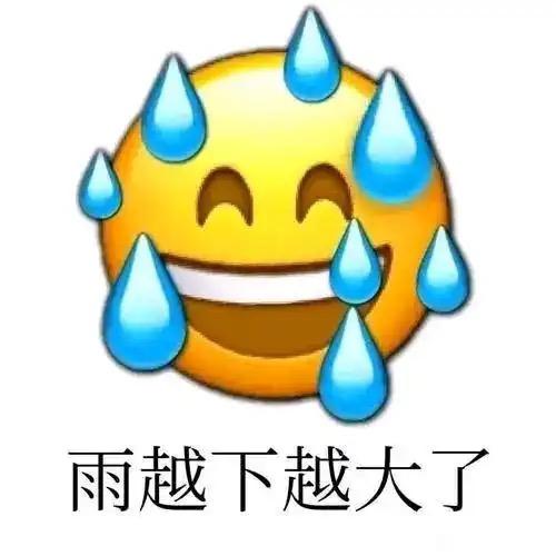 雨越下越大了