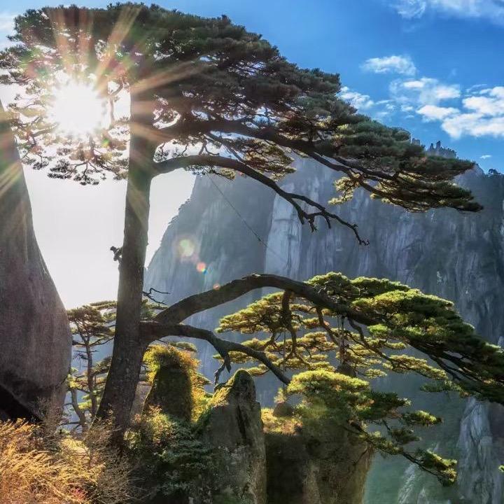 家和家美国际化妆品(邯郸服务中心)官方号